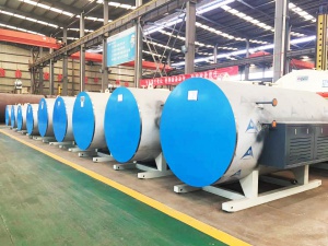 WDR1.5-1.0電加熱蒸汽鍋爐